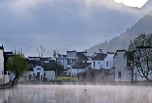 红枣枸杞滋补养生，调内分泌，肌肤细腻光泽的秘密